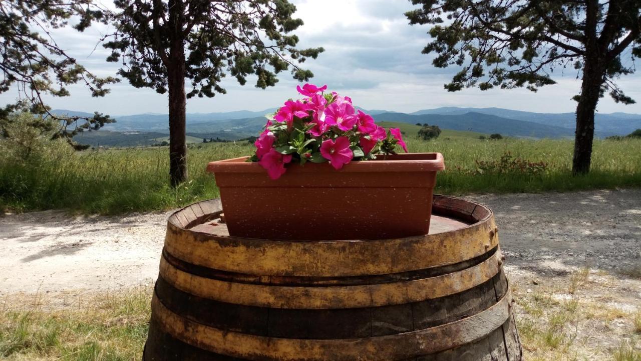 La Pecora Verde San Gimignano Eksteriør bilde