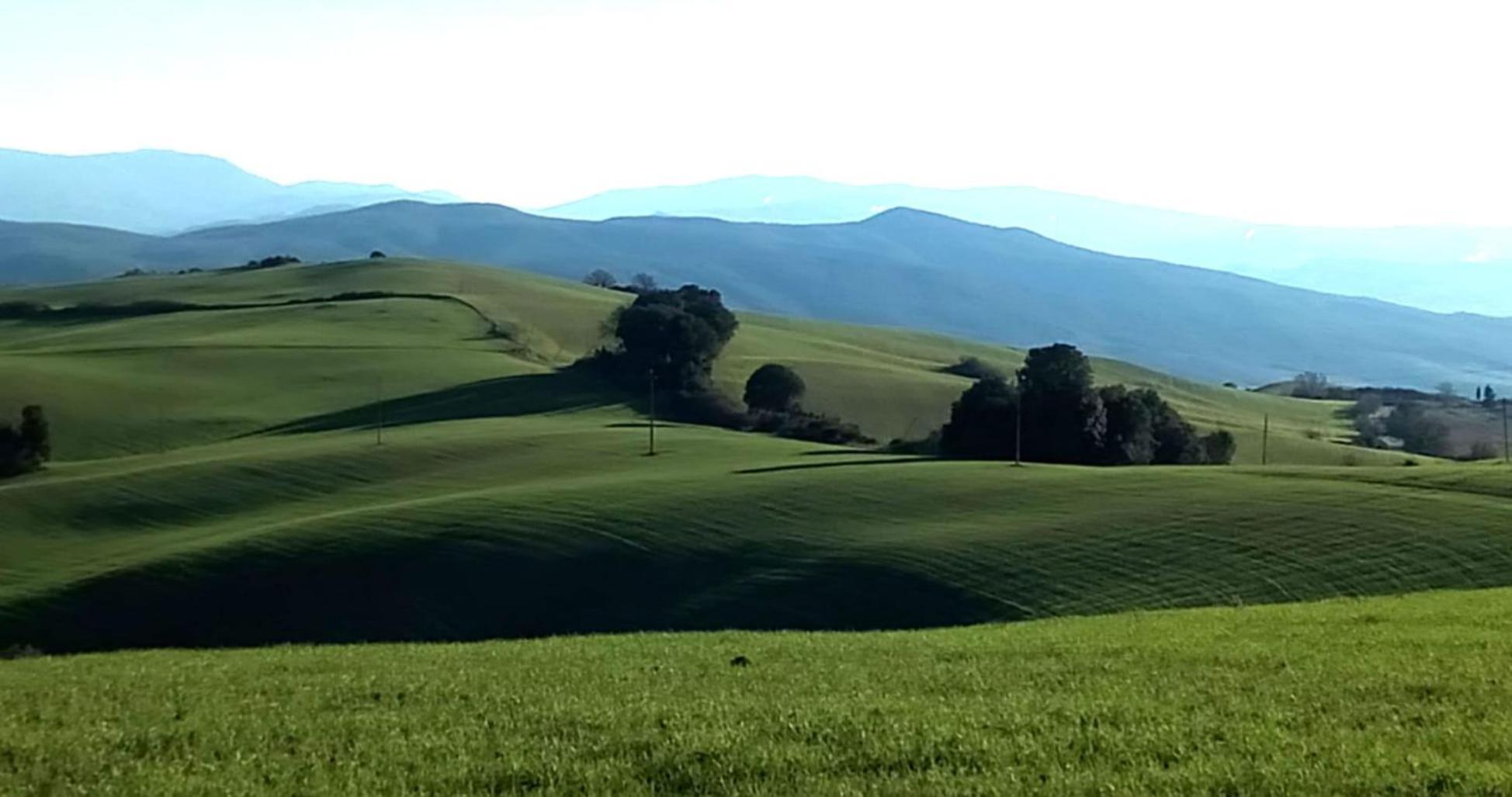 La Pecora Verde San Gimignano Eksteriør bilde